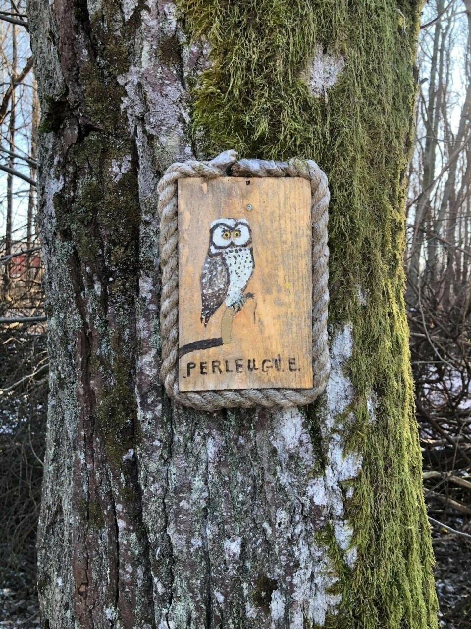 «Narnteskogen er viktig for naturmangfoldet» ###