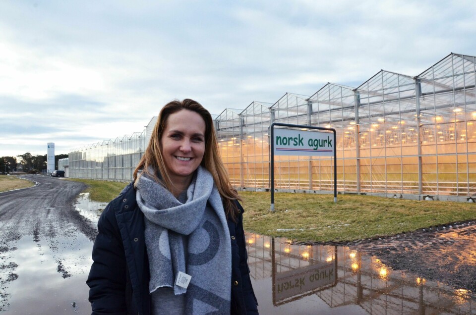 Aslaug Joa er daglig leder i Norsk Agurk på Sola. Selskapet produserer rundt fem millioner agurker i året. Foto: Arne Birkemo