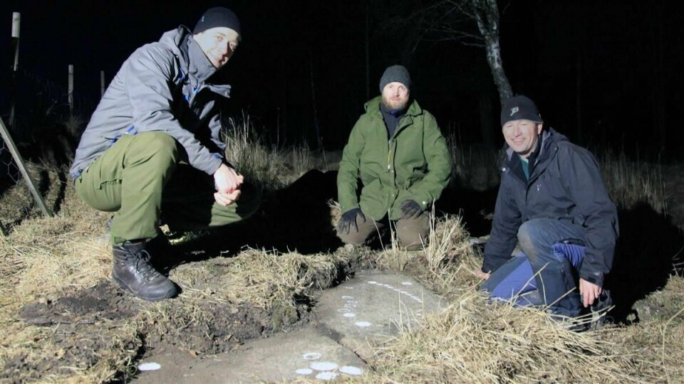 Helleristningsjegerne Magnus Tangen, Tormod Fjeld og Lars Ole Klavestad fant nylig helleristningsfelt nummer 1000 i Østfold. Helleristningsjegerne Magnus Tangen, Tormod Fjeld og Lars Ole Klavestad fant nylig helleristningsfelt nummer 1000 i Østfold.