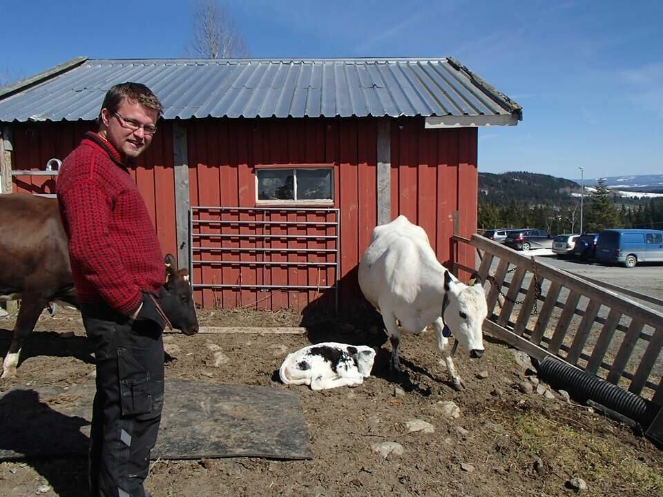 Innleggsforfatteren og et par naturlige tradisjonsforvaltere på fire bein. Innleggsforfatteren og et par naturlige tradisjonsforvaltere på fire bein.