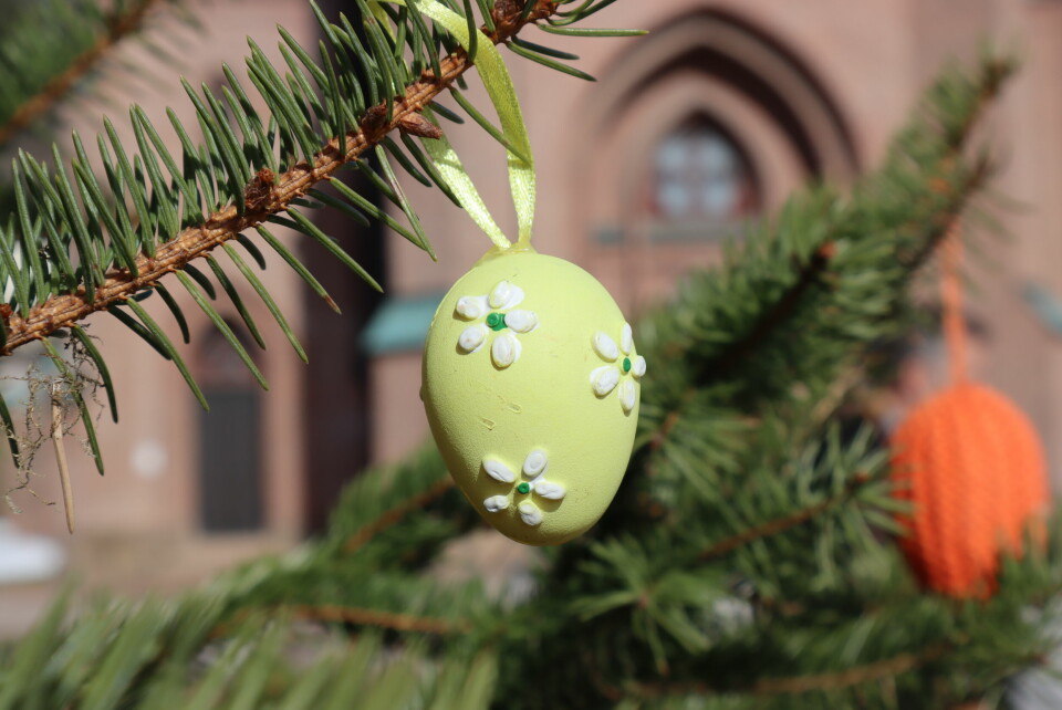 Påskepynt på det gamle juletreet forand kirken. Juletre ble påsketre i Bragernes kirke