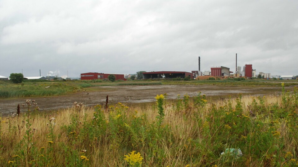 «Vi forventer at bedriftene nå tar dette på alvor, og at forsøplingsproblemet blir tatt tak i, før det er for sent for reservatets fugler og for det viktige naturmangfoldet i området.» Arkivfoto: «Vi forventer at bedriftene nå tar dette på alvor, og at forsøplingsproblemet blir tatt tak i, før det er for sent for reservatets fugler og for det viktige naturmangfoldet i området.» Arkivfoto: