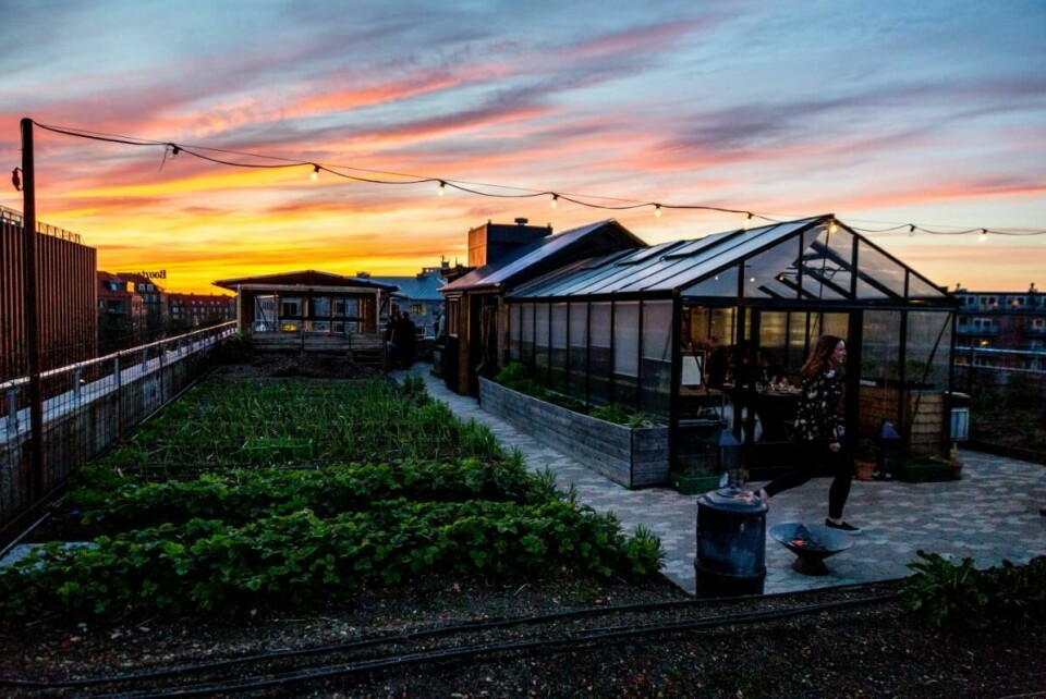 – Nå ser vi viktigheten av selvberging. Østergro i København er et godt eksempel på urbant landbruk, sier Demokratens spaltist, arkitekt Pernille Kolstad Heen. – Nå ser vi viktigheten av selvberging. Østergro i København er et godt eksempel på urbant landbruk, sier Demokratens spaltist, arkitekt Pernille Kolstad Heen.