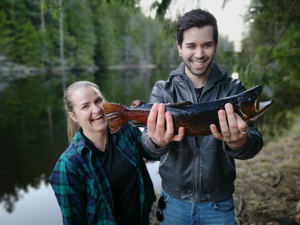Med litt flaks (og Siljes fisketips) kan man fort få en sånn en på kroken i Oslomarka i vår. Med litt flaks (og Siljes fisketips) kan man fort få en sånn en på kroken i Oslomarka i vår.