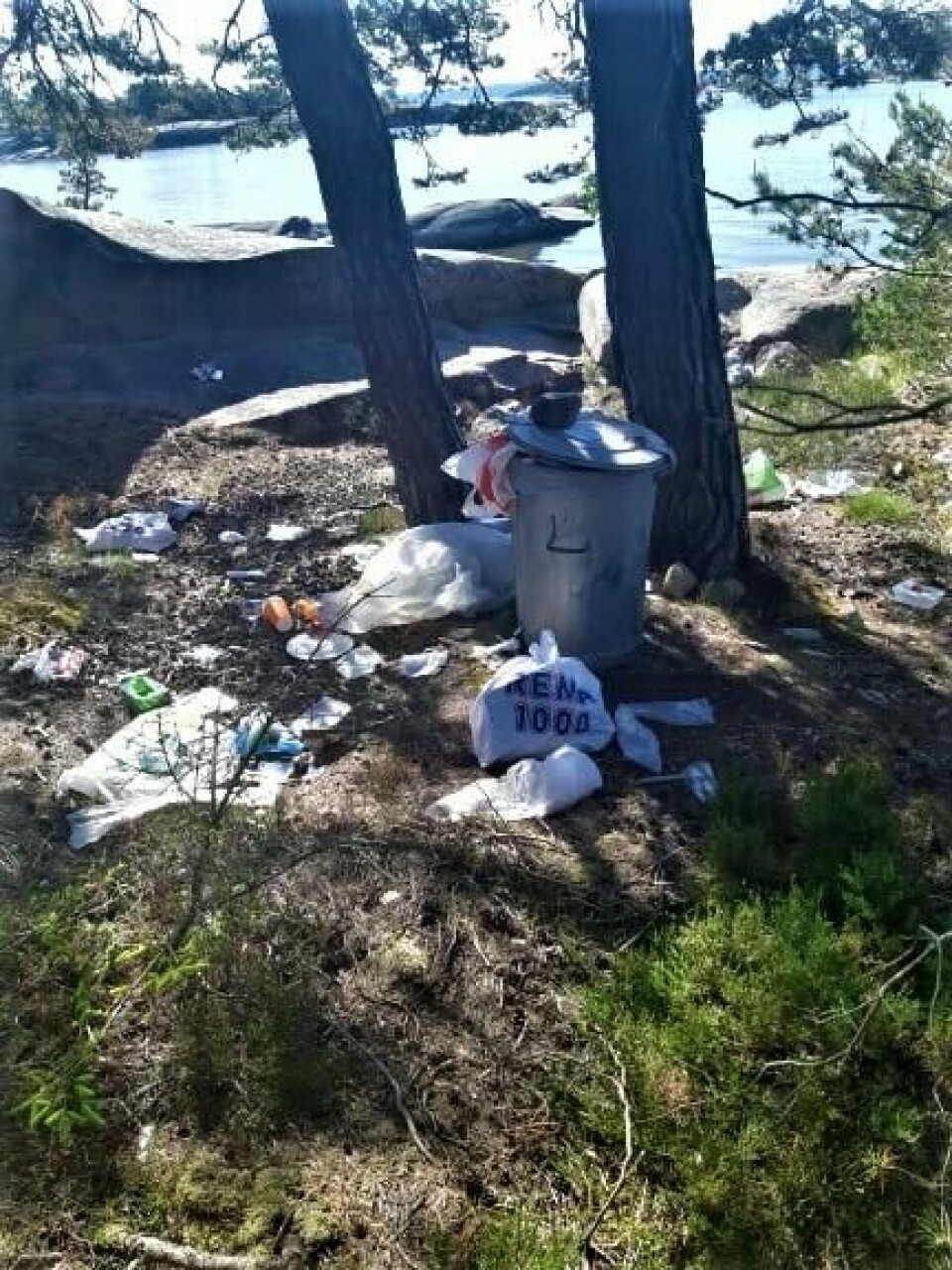 Søppelet flyter langs hele kystlinja til Thorsø herregård ###