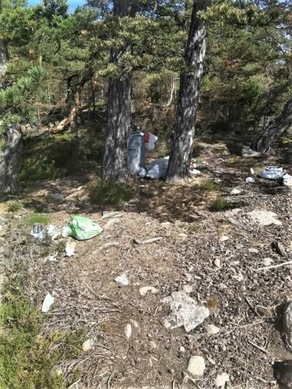 Søppelet flyter langs hele kystlinja til Thorsø herregård ###