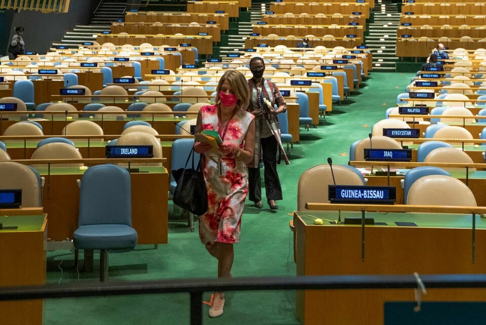 Norges FN-ambassadør avgir stemme i valget til nye medlemmer i FNs sikkerhetsråd. Norge og Irland vant de to setene. Foto: Eskinder Debebe/NTB scanpix