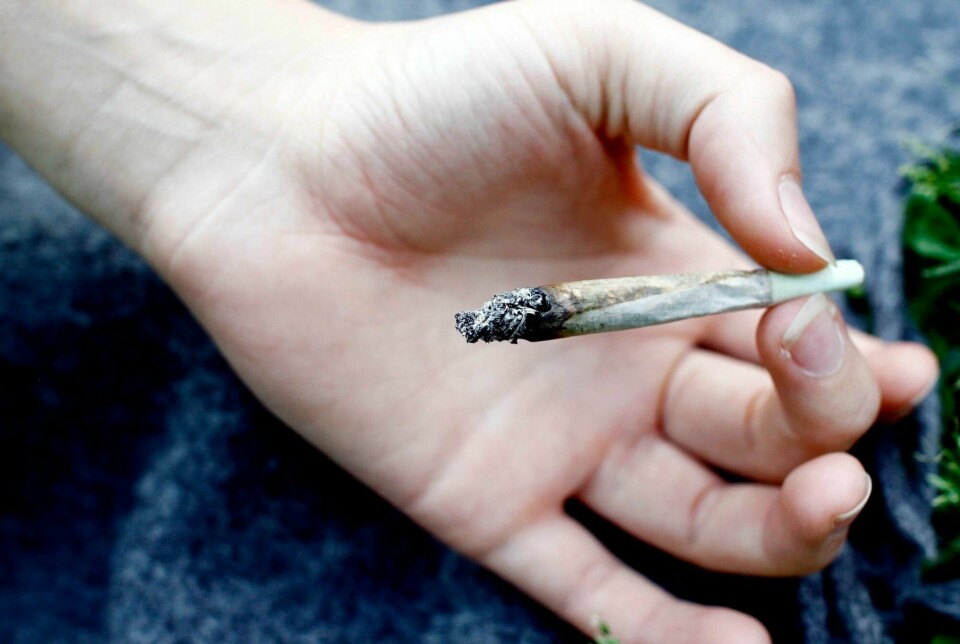 Hasjtørke har ført til at flere vil dyrke cannabis selv. Illustrasjonsfoto.