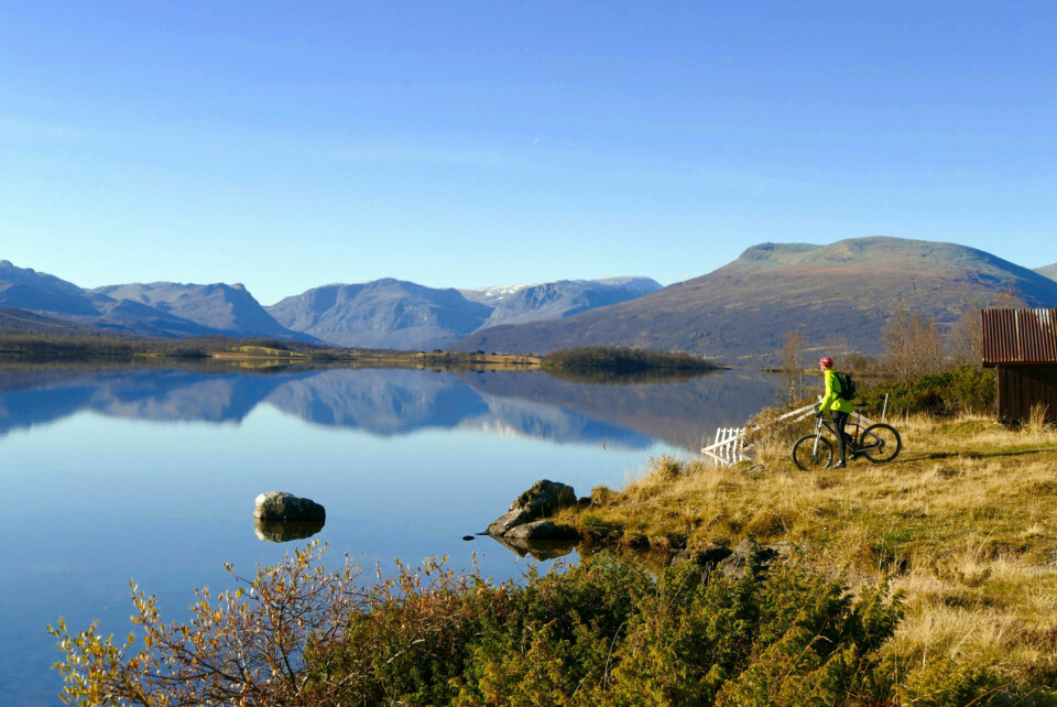 Blikkstille sykkellykke ved Storfjorden. Ta deg en forfriskende dukkert! Blikkstille sykkellykke ved Storfjorden. Ta deg en forfriskende dukkert!