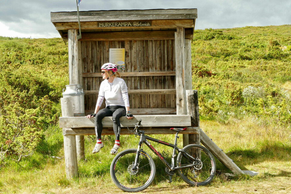 – Her sykler du ikke i kø, sier sykkelglade Birgit Haugen, som håper å inspirere andre til å sykle mer i området. – Her sykler du ikke i kø, sier sykkelglade Birgit Haugen, som håper å inspirere andre til å sykle mer i området.