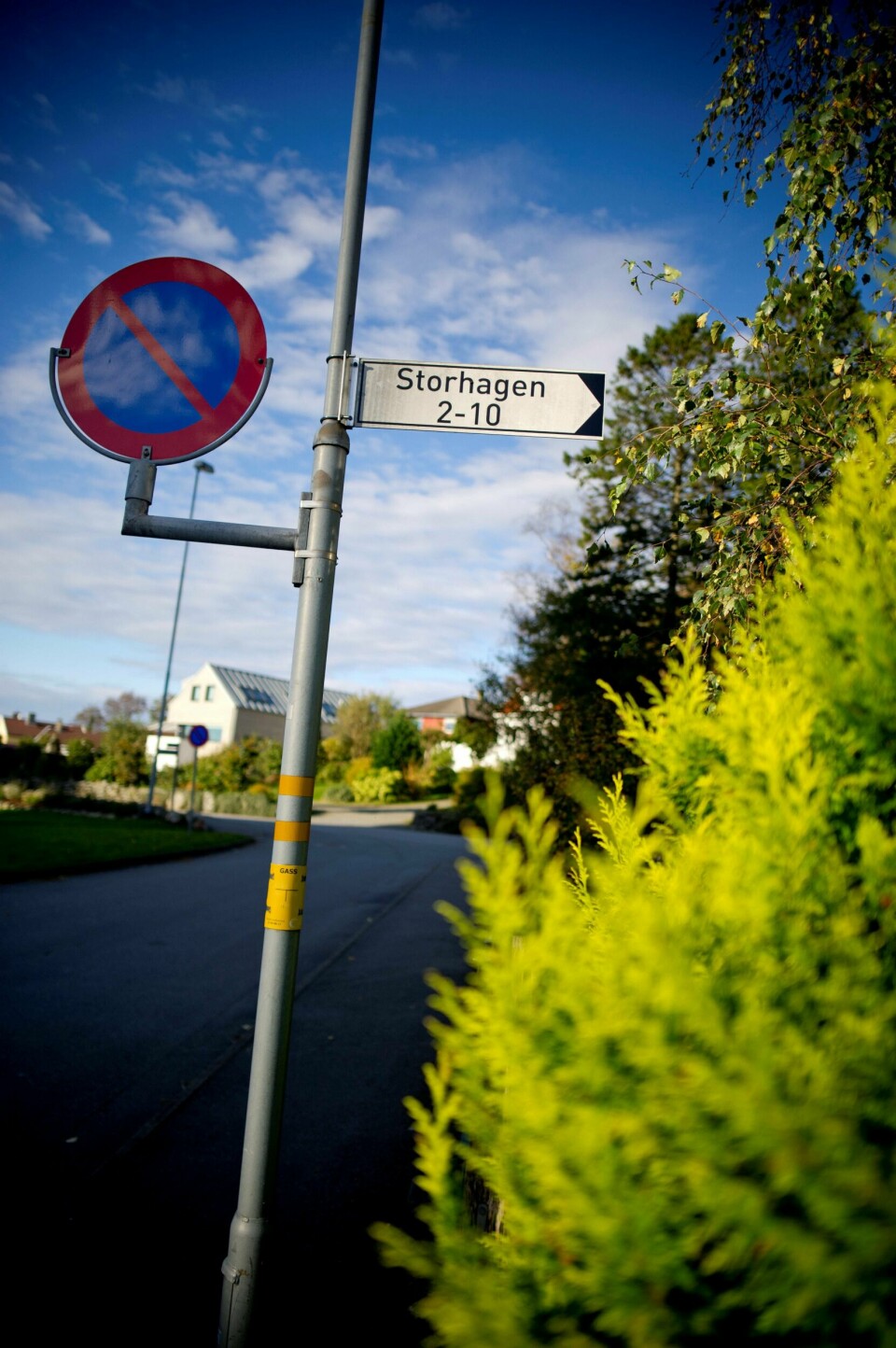 Storehagen er ikke avklart enda. Foto: Caroline T. Gilje
