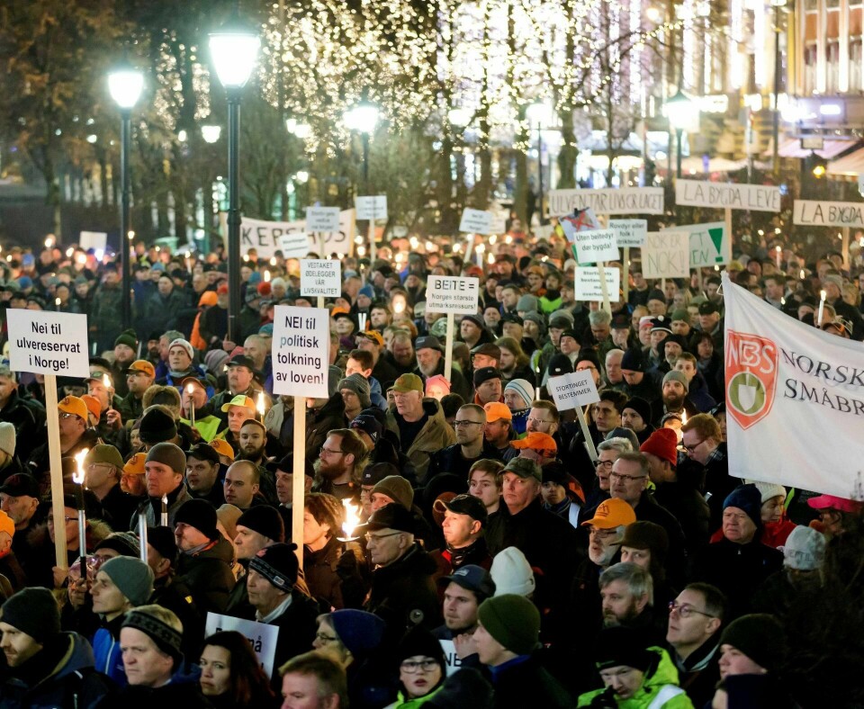 ULVEMOTSTAND: Tusenvis av ulvemotstandarar protesterte mot ulvepolitikken til regjeringa i forrige veke. FOTO: CORNELIUS POPPE/NTB SCANPIX