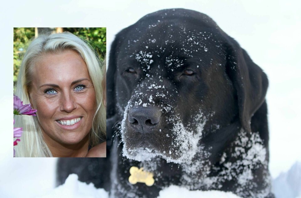 - Det er tull å kle på hunden i pluss ti - men i minus ti og «nordasno» er påkledning viktig for alle tynnhårede hunder eller firbente med tynn pels, presiserer hundetrener Gro Heidi Hassing