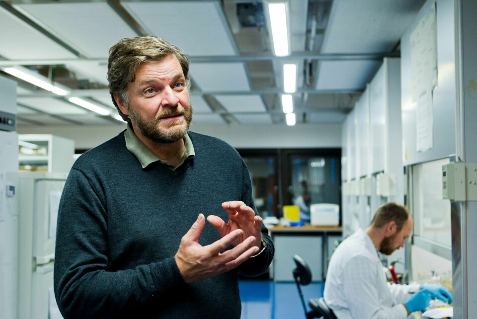 Medisinsk fagdirektør i Statens legemiddelverk, Steinar Madsen. Foto: Berit Roald / Scanpix