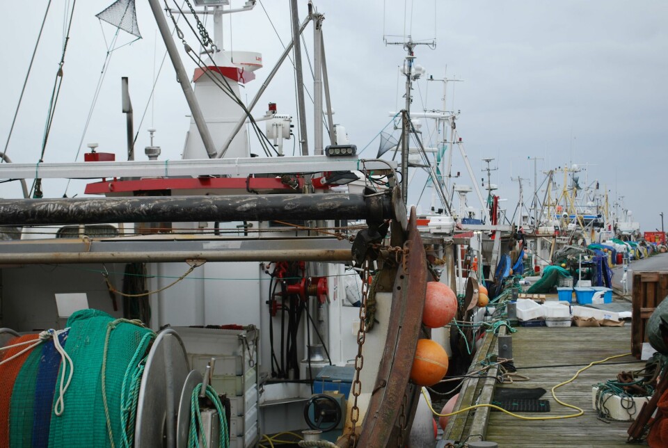 Fiskehavna i Utgårdskilen på Hvaler. Fiskehavna i Utgårdskilen på Hvaler.