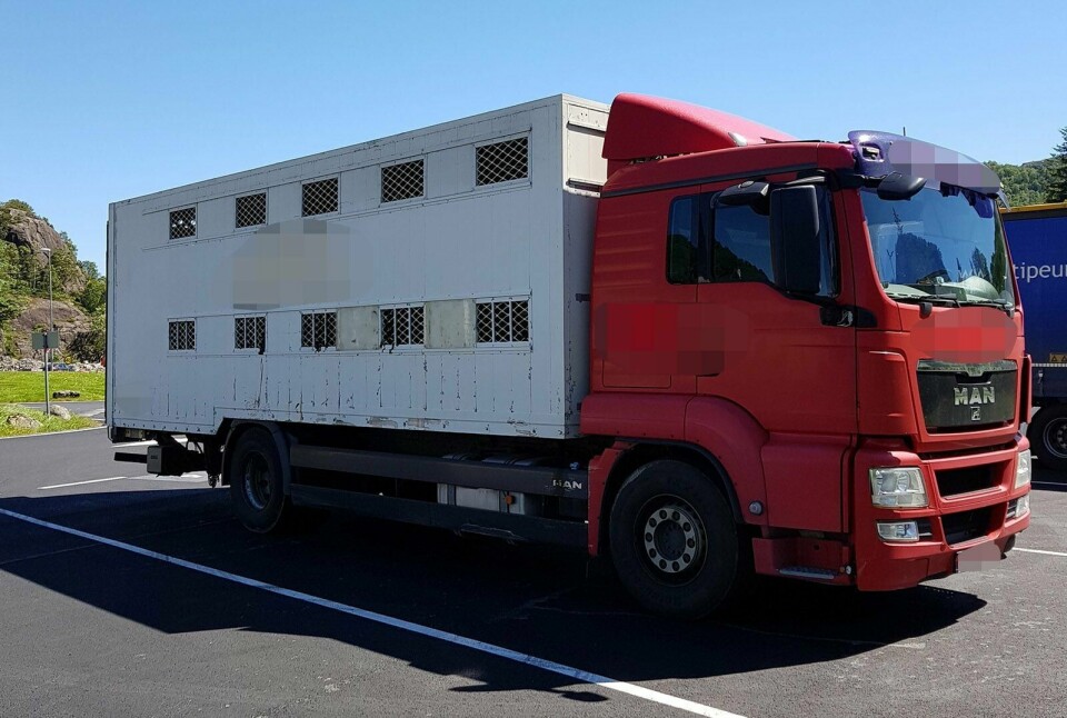 Dyretransporten var for tungt lastet, men fikk likevel lov til å kjøre videre. Foto: Statens vegvesen