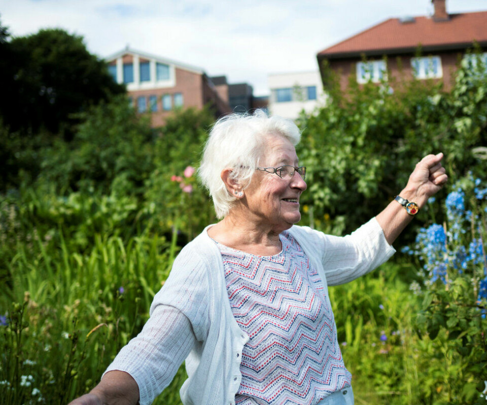 KOS: Rosemarie har hatt parsellhage på Egebergløkka siden 1989. Her tilbringer hun sommerkveldene sine. KOS: Rosemarie har hatt parsellhage på Egebergløkka siden 1989. Her tilbringer hun sommerkveldene sine.