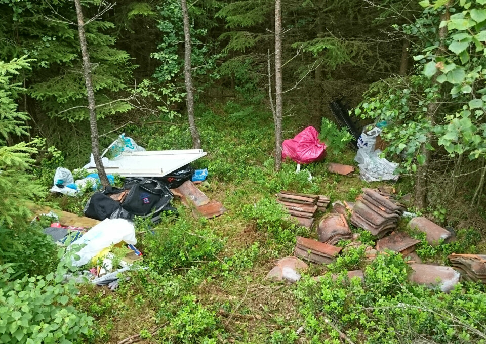 DUMPET: En grunneier i Skjeberg i Sarpsborg fant store mengder søppel som hadde blitt dumpet på eiendommen hans i juni. Blant avfallet ble det funnet en rekke papirer med personopplysninger, og saken ble anmeldt. DUMPET: En grunneier i Skjeberg i Sarpsborg fant store mengder søppel som hadde blitt dumpet på eiendommen hans i juni. Blant avfallet ble det funnet en rekke papirer med personopplysninger, og saken ble anmeldt.