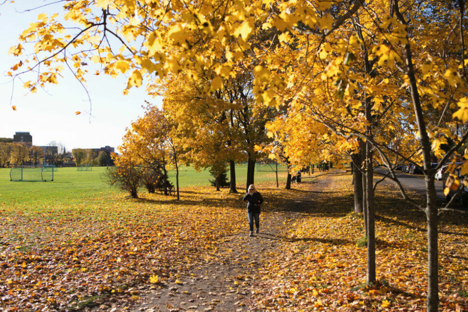 Oppdag nye steder i hovedstaden. gå en tur i en ny park, elvelangs, eller i de dødes fotspor! Oppdag nye steder i hovedstaden. gå en tur i en ny park, elvelangs, eller i de dødes fotspor!