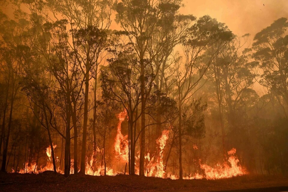 Australias statsminister Scott Morrison ser heller sitt land gå opp i flammer enn å anerkjenne konsekvensene av klimaendringene, skriver Karoline Fauskanger Andersen. Foto: Peter Parks/NTB scanpix