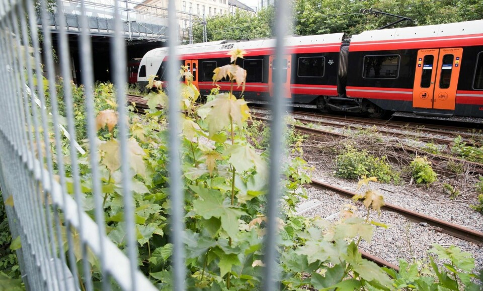 Ulykken skjedde på Filipstad i Oslo.