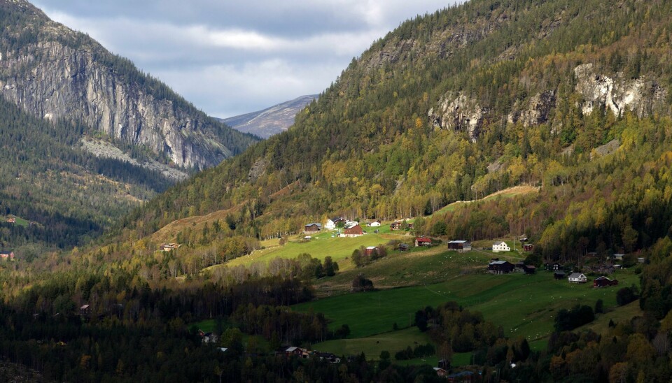Tinn er en av kommunene hvor Statskog har solgt unna mye skog, så langt fordelt på 17 eiendommer på til sammen over 56.000 dekar. Blant kjøperne er både Miljødirektoratet, lokale og «andre».