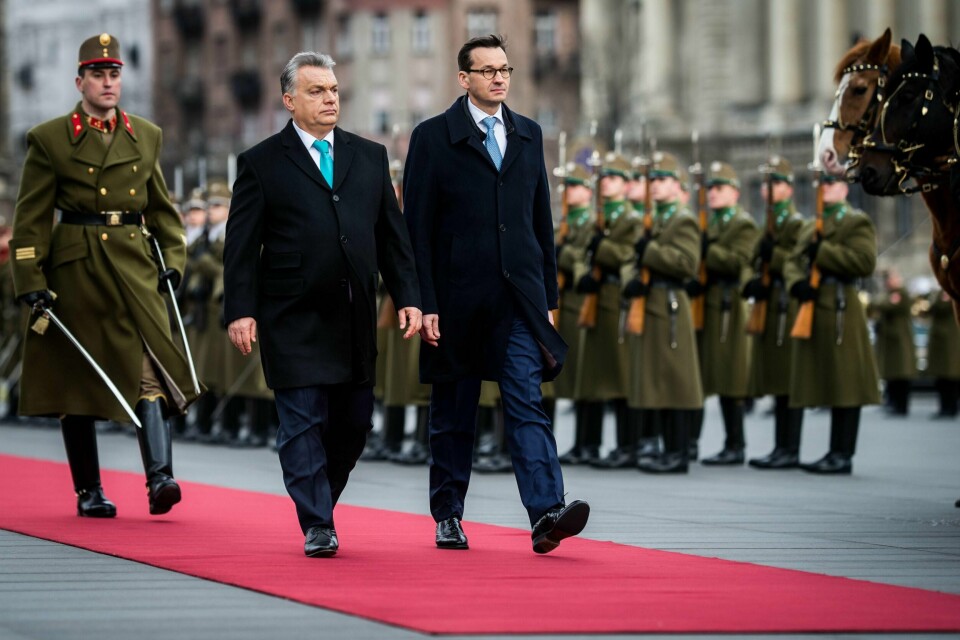 Knapt noen medlemsland i EU står tettere enn Ungarn og Polen. Her besøkte Polens statsminister Mateusz Morawiecki, Ungarns statsminister Viktor Orban i Budapest i januar 2018. Foto: Gergely Botar/Ntb Scanpix