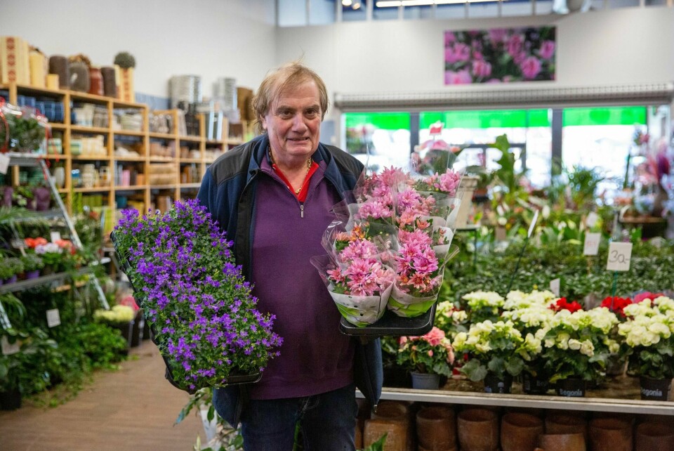 Henry Pongo ved Pongo Hagesenter har allerede begynt å selge vårblomster ved starten av februar. Her med en rekke campanula- og krysantemumblomster.