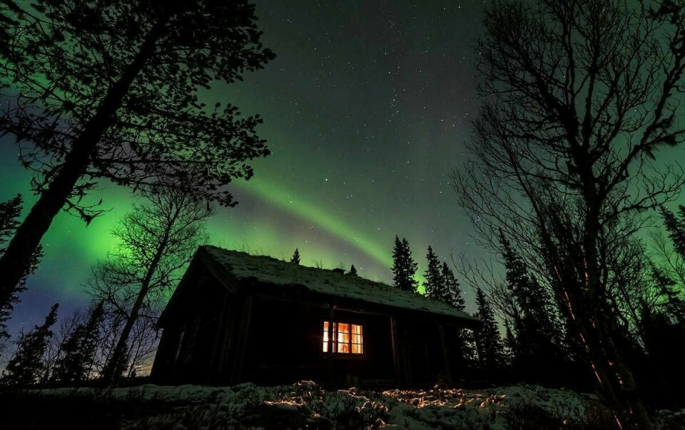 Seisjø skogstue i Blåfjella-Skjækerfjella nasjonalpark i Trøndelag, er en av de 86 hyttene Statskog per dags dato leier ut for én natt eller mer.