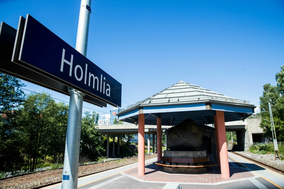 En bil sto i brann på Holmlia i Oslo lørdag ettermiddag. Brannen er slukket.