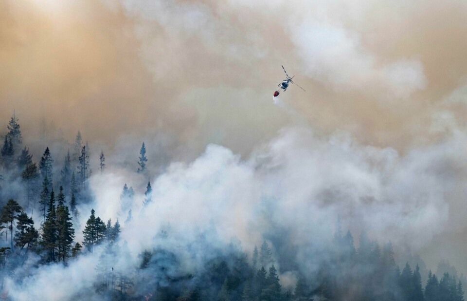 Flere helikopterselskap må permittere store deler av staben. Det kan gå på bekostning av beredskapen, mener de. Her slukker et helikopter en av de mange skogbrannene som brøt ut i 2018.