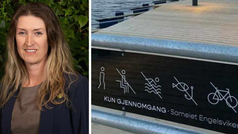 Ida Julsen, nestleder planutvalgetMiljøpartiet De Grønne Fredrikstad. Ida Julsen, nestleder planutvalgetMiljøpartiet De Grønne Fredrikstad.