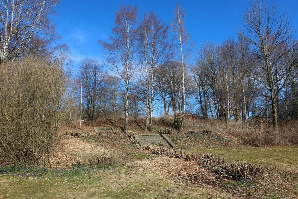 Slik ser det ut på tomta hvor Villa Ekeli en gang ruvet. Rester av hageanlegget finnes fremdeles. Ekeli på Nøste