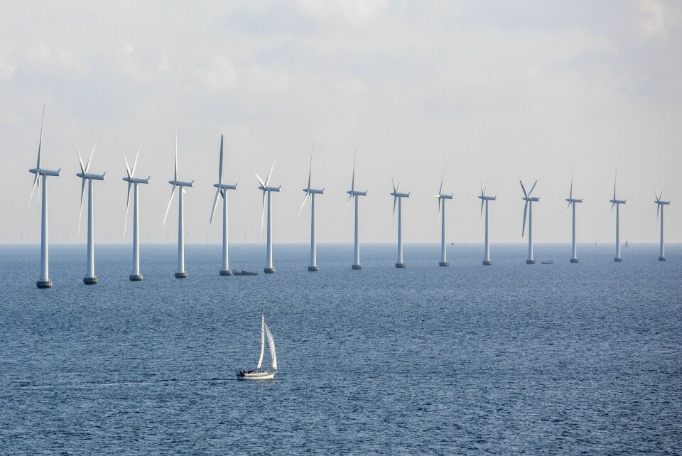 Danmark bygde den første havvindparken i 1991 og har hatt ulike subsidiesystemer for vindindustrien siden 1979. Ørsted, Danmarks svar på Equinor, er verdensledende på havvind.