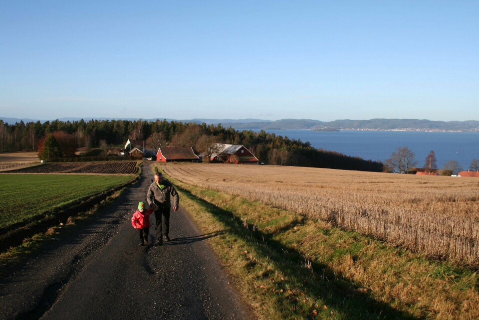 På siste del av turen kan vi nyte flott utsikt innover Oslofjorden. Turtips fra Linken Raeng: Rambergåsen i Moss