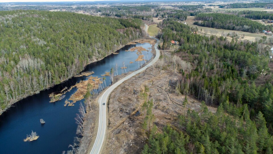 Ifølge politiets beregninger ble det felt 537 trær fra Vardåsen naturreservat, som ligger helt inntil Botnertjernet (til venstre). Hogsten på høyre side av veien var ikke ulovlig. Dette bildet er tatt 6. april 2021, altså godt over ett år etter at hogsten fant sted. Botnertjernet, Vardåsen naturreservat.