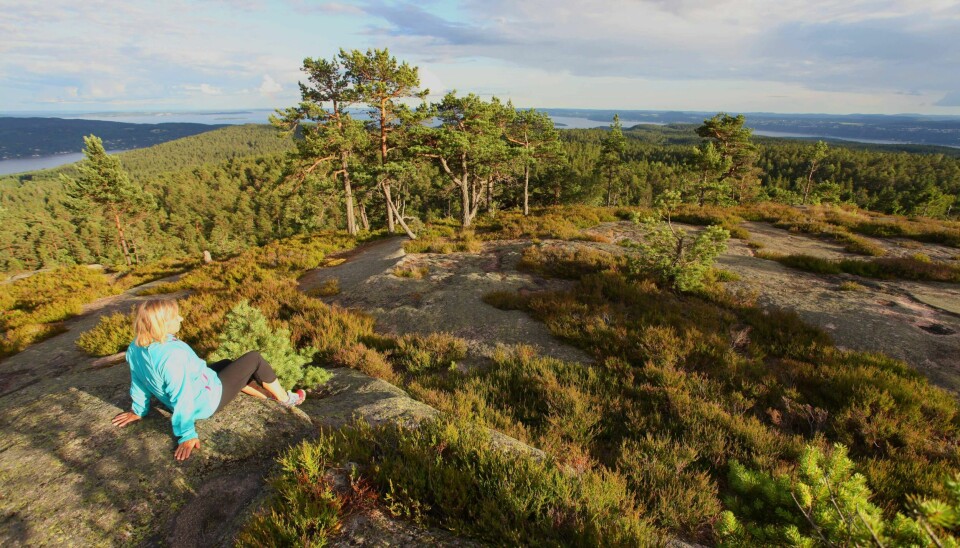 Praktfull utsikt fra Høgås, 311 moh, i Svelvikmarka. Praktfull utsikt fra Høgås, 311 moh, i Svelvikmarka.