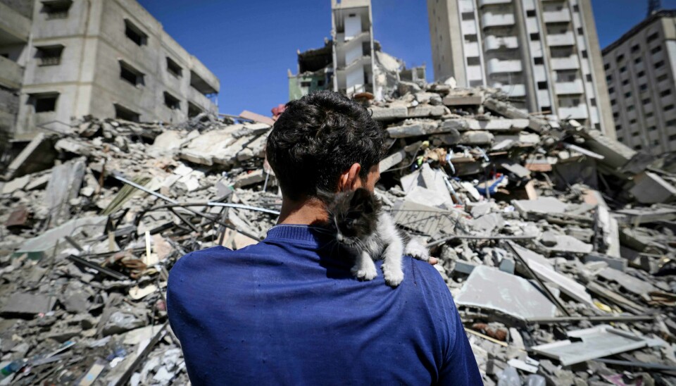 «Heldigvis reagerer omverdenen på Israels uforholdsmessige gjengjeldelsesoperasjoner hvor det drepes omtrent 20 palestinere for hver israeler som dør i konflikten.», skriver Jan Christian Häckert. «Heldigvis reagerer omverdenen på Israels uforholdsmessige gjengjeldelsesoperasjoner hvor det drepes omtrent 20 palestinere for hver israeler som dør i konflikten.», skriver Jan Christian Häckert.
