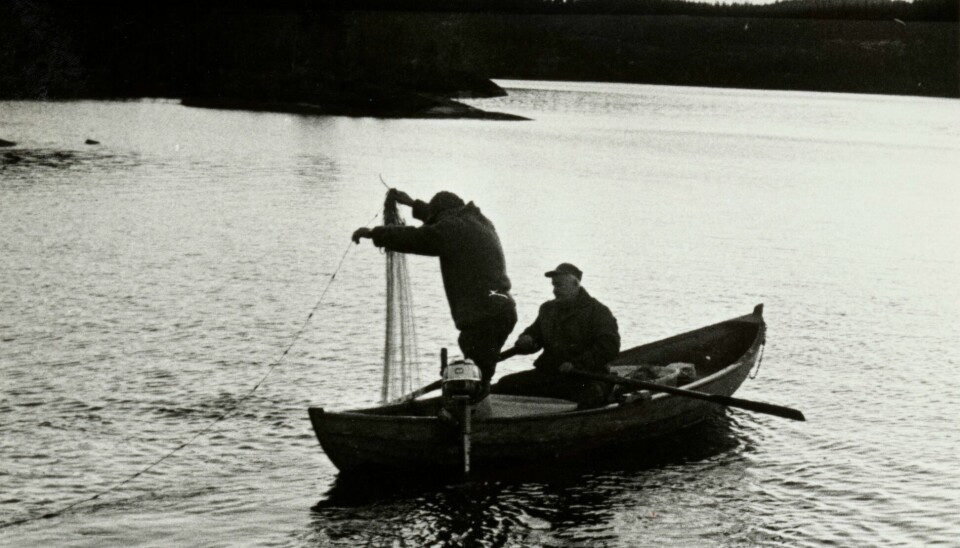 Fiske med garn på Katnosa i 1978, ikke så ulikt måten de fisket i Nordmarka 135 år tidligere. Fiske med garn på Katnosa i 1978, ikke så ulikt måten de fisket i Nordmarka 135 år tidligere.