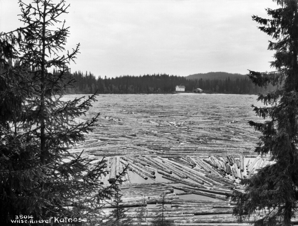 Tømmerfløting på Katnosa i 1928 i Nordmarka i Lunner kommune i Oppland. Tømmerfløting på Katnosa i 1928 i Nordmarka i Lunner kommune i Oppland