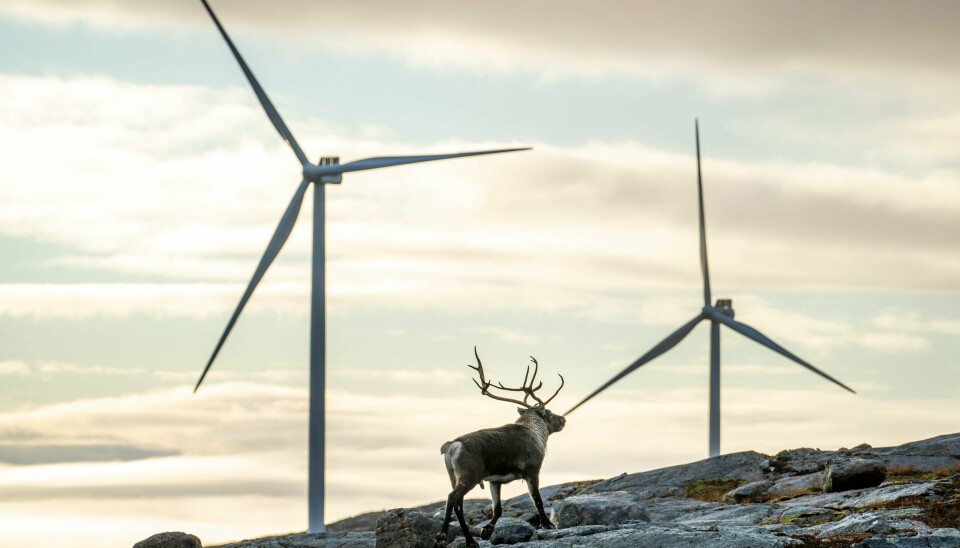 Vindkraftutbyggingen i Åfjord nevnes som et eksempel av Kim Gabrielli i UN Global Compact Norge, på hvilke muligheter for jobbskaping som ligger i mer satsing på fornybar energi. Vindkraftutbyggingen i Åfjord nevnes som et eksempel av Kim Gabrielli i UN Global Compact Norge, på hvilke muligheter for jobbskaping som ligger i mer satsing på fornybar energi.