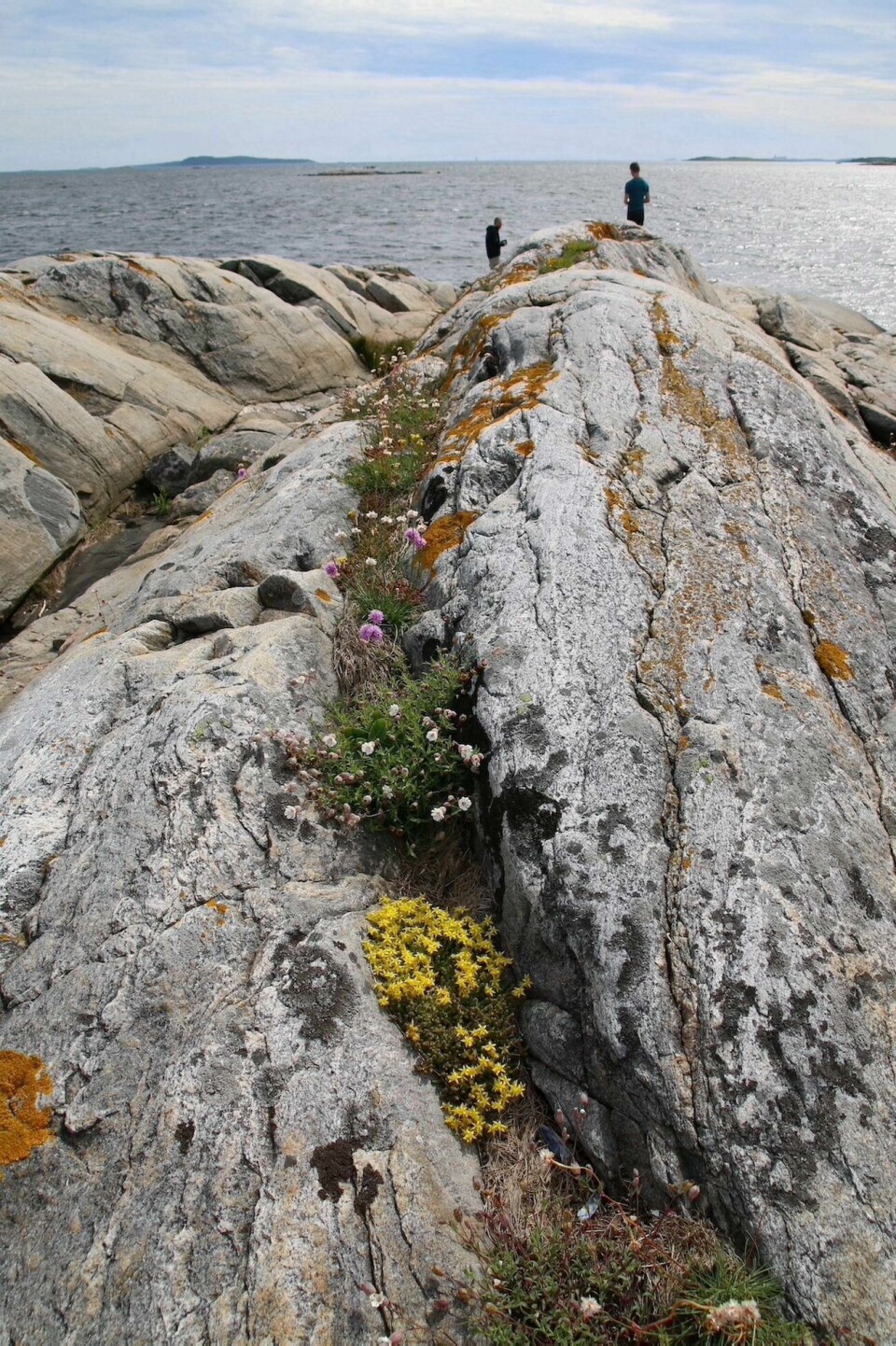 På Hestholmen strekker fjellet seg ut for å møte havet. På Hestholmen strekker fjellet seg ut for å møte havet.