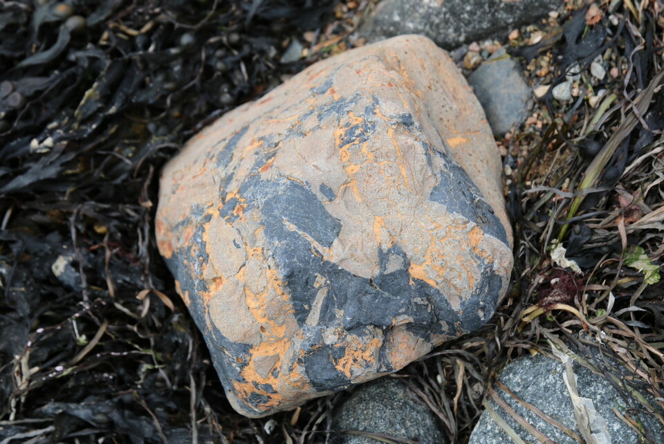 På strendene finnes mange geologiske rariteter. På strendene finnes mange geologiske rariteter.