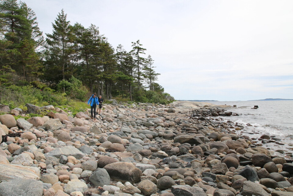 Deler av stien går over rullesteinstrand. Deler av stien går over rullesteinstrand.