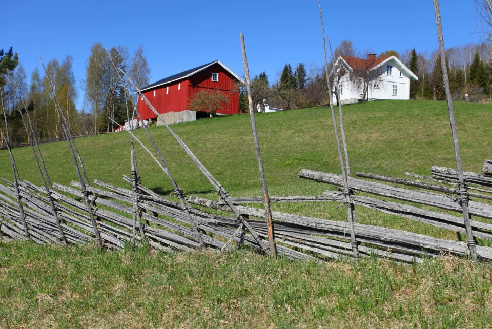Ryghsetra ved Hagatjern i Nedre Eiker. Ryghsetra ved Hagatjern i Nedre Eiker.