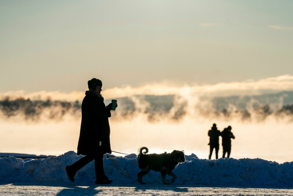 Med temperaturer langt under frysepunktet oppstår det kraftig frostrøyk i havnebassenget i indre Oslofjord. Mange tar turen for å se og å ta bilder av dette vakre synet. Luftkvaliteten i storbyene i Sør-Norge vil være dårlig de neste dagene – og spesielt fra lørdag ettermiddag. Illustrasjonsfoto: Håkon Mosvold Larsen / NTB
