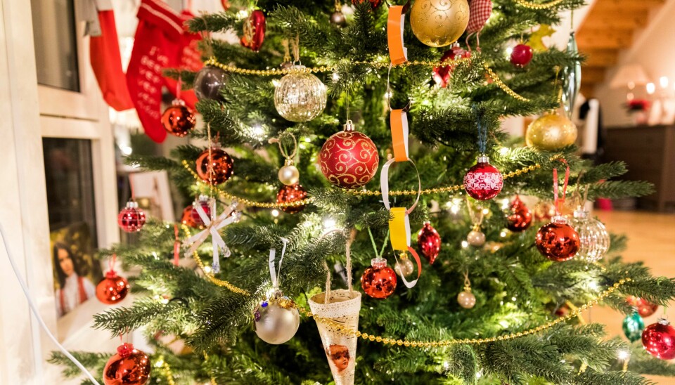 Juletrærne blir malt opp til flis og omdannet til energi og biokull i et biokull-anlegg i Sandnes. Selv om det kan virke lurt å bruke juletreet som ved etter nyttår, er det svært farlig da det kan føre til pipebrann og utslipp av farlige gasser, advarer forsker. Illustrasjonsfoto: Gorm Kallestad / NTB