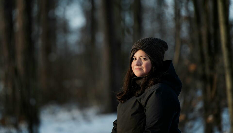 – Problemet her er jo at staten betaler seg selv for vern, sier Karoline Andaur, generalsekretær i WWF Verdens naturfond. – Problemet her er jo at staten betaler seg selv for vern, sier Karoline Andaur, generalsekretær i WWF Verdens naturfond.
