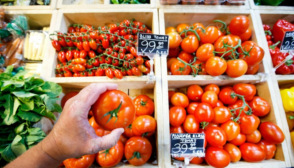 Tomatprisene skjøt i været i fjor. Oslo, Norway 20150714.Illustrasjonsbilder: Frukt og grønnsaker.Foto: Gorm Kallestad / NTB