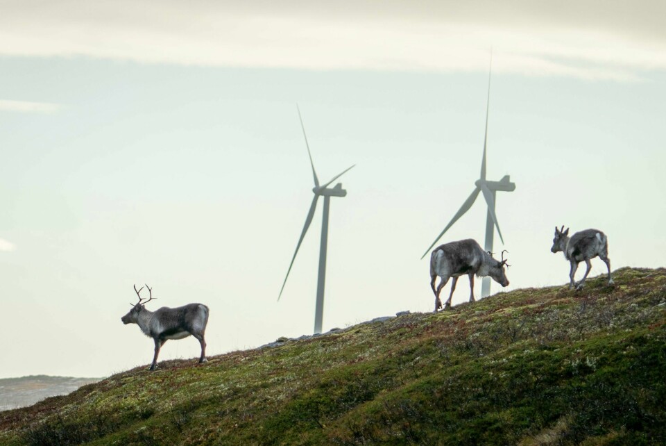 Vi må prioritere kraften til nye, grønne arbeidsplasser i stedet for å bygge ned store deler av Finnmarks natur for å elektrifisere oljeplattformer, skriver Lan Marie Berg. Vi må prioritere kraften til nye, grønne arbeidsplasser i stedet for å bygge ned store deler av Finnmarks natur for å elektrifisere oljeplattformer, skriver Lan Marie Berg.